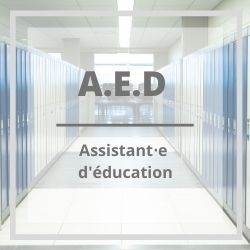 Assistant.es d'éducation (AED) le Sgen-CFDT revendique la CDISATION